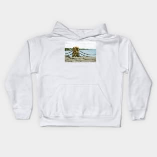 Gooseberry Falls Railing Kids Hoodie